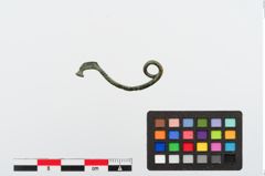 Foto von Bronzecertosafibel (NHMW-PRAE-024308)